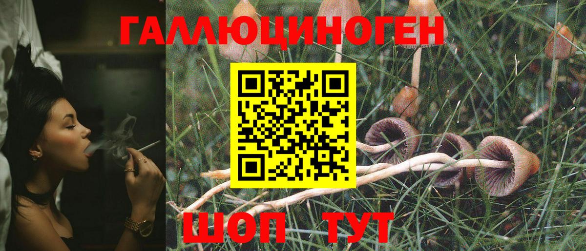 Дзержинский  Псилоцибиновые грибы GOLDEN TEACHER  Вход с VPN 